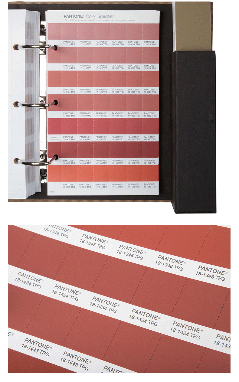 pantone-pantone-fashion-home-color